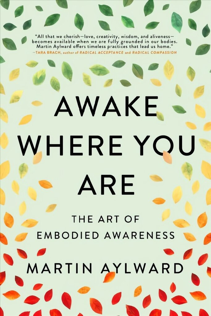 Awake Where You Are: The Art of Embodied Awareness hind ja info | Usukirjandus, religioossed raamatud | kaup24.ee