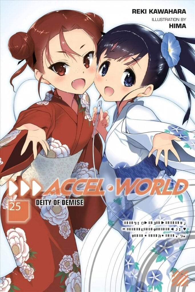 Accel World, Vol. 25 (light novel) hind ja info | Noortekirjandus | kaup24.ee