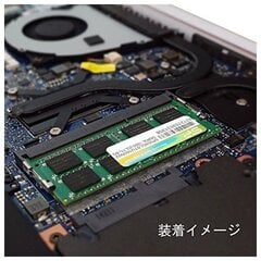 Silicon Power DDR3 SODIMM 8GB 1600MHz CL11 (SP008GLSTU160N02) цена и информация | Оперативная память (RAM) | kaup24.ee
