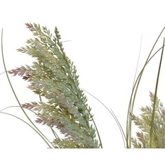 Искусственная пампасная трава 804040, 60 см цена и информация | Искусственные цветы | kaup24.ee