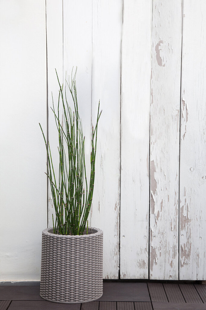 Keter istutuspott Cylinder Planter Small h28cm, beež цена и информация | Dekoratiivsed lillepotid | kaup24.ee