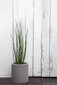 Keter istutuspott Cylinder Planter Small h28cm, beež hind ja info | Dekoratiivsed lillepotid | kaup24.ee