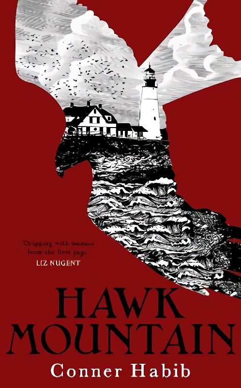 Hawk Mountain: A highly suspenseful and unsettling literary thriller hind ja info | Fantaasia, müstika | kaup24.ee