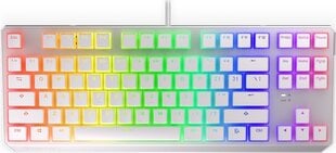 Endorfy Thock TKL OWH P. Kailh BL RGB (EY5A007) цена и информация | Клавиатуры | kaup24.ee