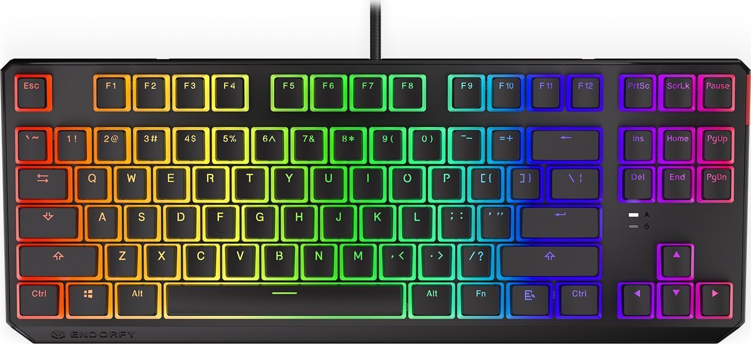 Endorfy Thock TKL Pudding US hind ja info | Klaviatuurid | kaup24.ee