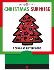 Christmas Surprise hind ja info | Väikelaste raamatud | kaup24.ee