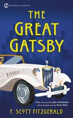 Great Gatsby цена и информация | Фантастика, фэнтези | kaup24.ee