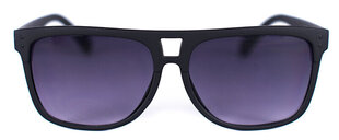 Женские солнцезащитные очки Art of Polo ok19198.2 цена и информация | Женские солнцезащитные очки | kaup24.ee