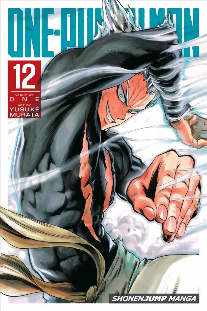 One-Punch Man, Vol. 12 цена и информация | Fantaasia, müstika | kaup24.ee