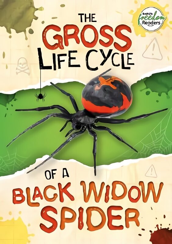 Gross Life Cycle of a Black Widow Spider цена и информация | Noortekirjandus | kaup24.ee