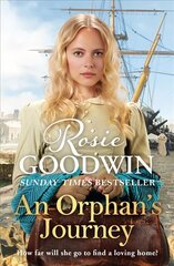 An Orphan's Journey: The new heartwarming saga from the Sunday Times bestselling author цена и информация | Романы | kaup24.ee