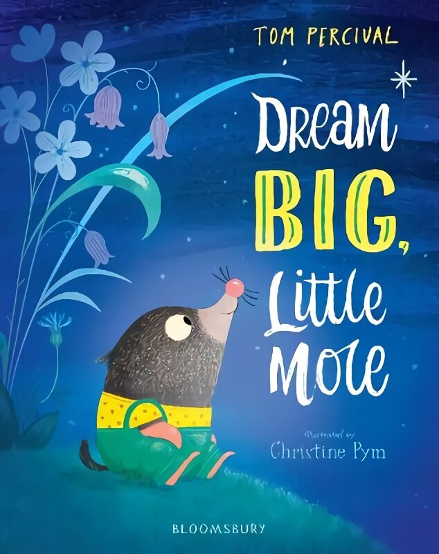 Dream Big, Little Mole цена и информация | Väikelaste raamatud | kaup24.ee