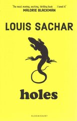 Holes цена и информация | Книги для подростков и молодежи | kaup24.ee