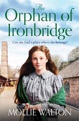 Orphan of Ironbridge: An emotional and heartwarming family saga hind ja info | Fantaasia, müstika | kaup24.ee