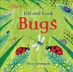 Kew: Lift and Look Bugs hind ja info | Väikelaste raamatud | kaup24.ee