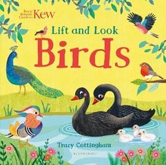 Kew: Lift and Look Birds hind ja info | Väikelaste raamatud | kaup24.ee