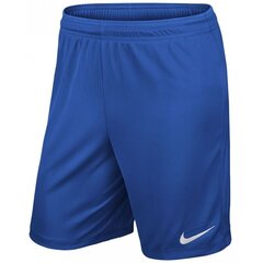 Шорты Nike для мальчиков Park II Junior 725988-463 цена и информация | Poiste lühikesed püksid | kaup24.ee