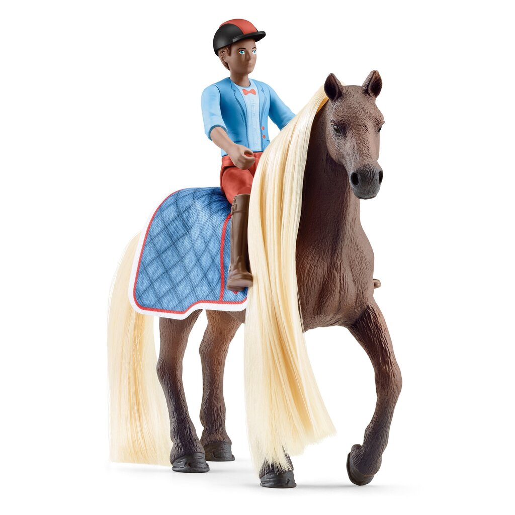 Schleich - Horse Club Beauty Leo And Rocky Starter Set hind ja info | Tüdrukute mänguasjad | kaup24.ee