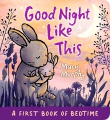 Good Night Like This цена и информация | Книги для малышей | kaup24.ee
