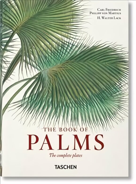 Martius. The Book of Palms. 40th Ed. Multilingual edition цена и информация | Kunstiraamatud | kaup24.ee