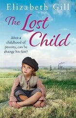 Lost Child цена и информация | Романы | kaup24.ee