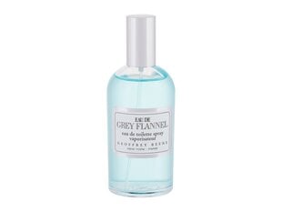 Geoffrey Beene Eau de Grey Flannel EDT 120ml цена и информация | Мужские духи | kaup24.ee