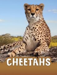 Cheetahs hind ja info | Noortekirjandus | kaup24.ee