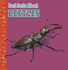 Fast Facts About Beetles цена и информация | Книги для подростков и молодежи | kaup24.ee