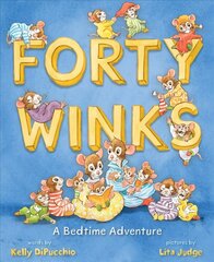 Forty Winks: A Bedtime Adventure цена и информация | Книги для малышей | kaup24.ee