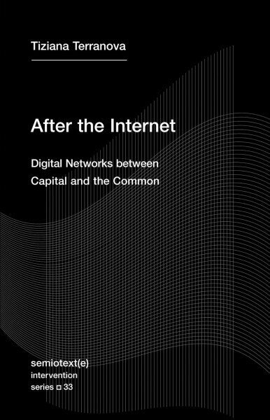 After the Internet: Digital Networks between the Capital and the Common hind ja info | Ühiskonnateemalised raamatud | kaup24.ee