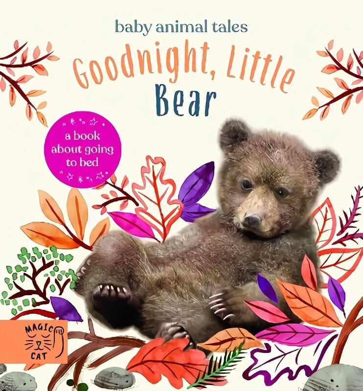 Goodnight, Little Bear: A Book About Going to Bed hind ja info | Noortekirjandus | kaup24.ee