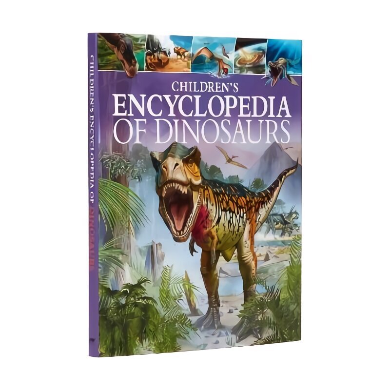 Children's Encyclopedia of Dinosaurs hind ja info | Noortekirjandus | kaup24.ee