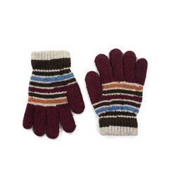Art of Polo Перчатки | бордовый rkq050-1 цена и информация | Шапки, перчатки, шарфы для мальчиков | kaup24.ee