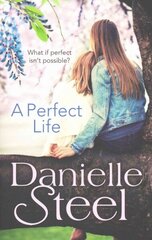 Perfect Life цена и информация | Фантастика, фэнтези | kaup24.ee