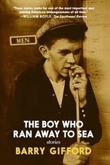 Boy Who Ran Away To Sea цена и информация | Фантастика, фэнтези | kaup24.ee