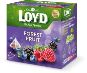 Чай фруктовый Loyd со вкусом лесных ягод, 20 шт. цена и информация | Чай | kaup24.ee