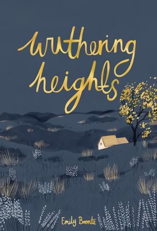 Wuthering Heights hind ja info | Fantaasia, müstika | kaup24.ee