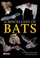 Miscellany of Bats цена и информация | Книги о питании и здоровом образе жизни | kaup24.ee