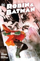 Robin & Batman цена и информация | Фантастика, фэнтези | kaup24.ee