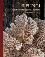 Lives of Fungi: A Natural History of Our Planet's Decomposers цена и информация | Книги по экономике | kaup24.ee