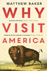 Why Visit America цена и информация | Книги по экономике | kaup24.ee