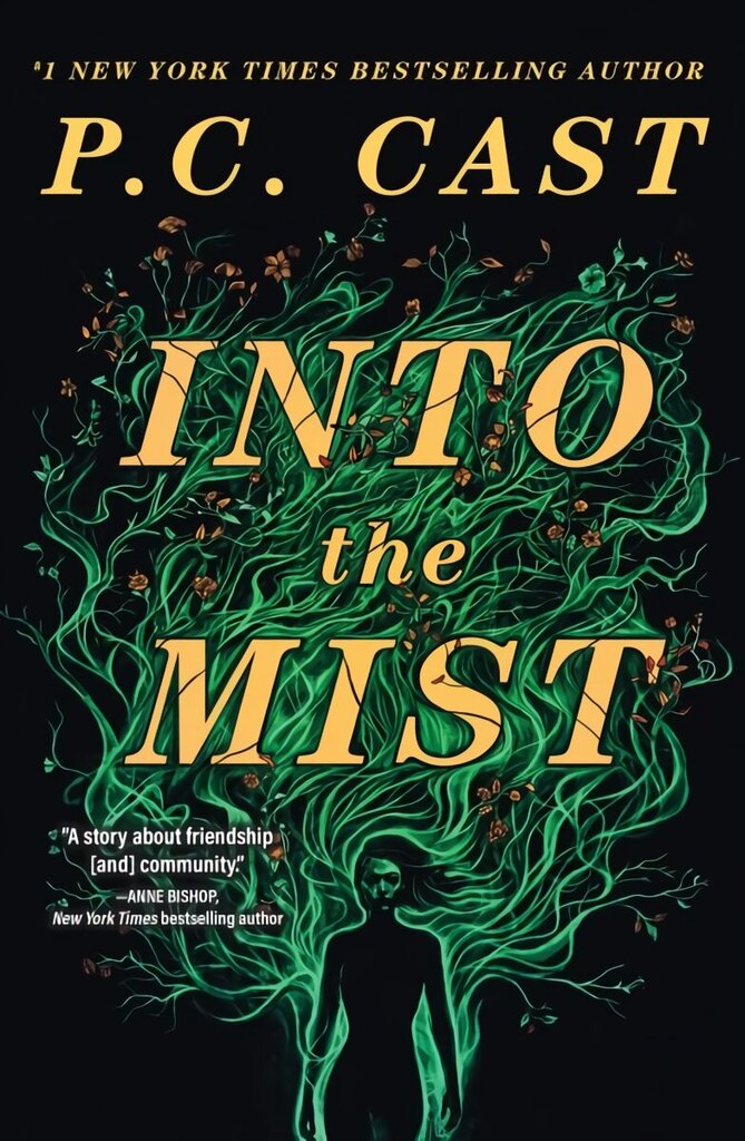 Into The Mist: A Novel hind ja info | Fantaasia, müstika | kaup24.ee