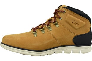 Ботинки мужские Timberland Bradstreet Hiker A26YZ, оранжевые цена и информация | Мужские ботинки | kaup24.ee