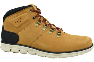 Meeste saapad Timberland Bradstreet Hiker A26YZ, oranž цена и информация | Мужские ботинки | kaup24.ee