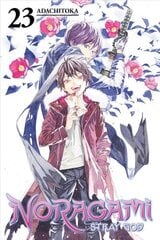 Noragami: Stray God 23 hind ja info | Fantaasia, müstika | kaup24.ee