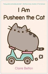 I Am Pusheen the Cat цена и информация | Фантастика, фэнтези | kaup24.ee