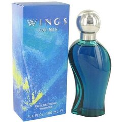 Giorgio Beverly Hills Wings for Men EDT 30ml hind ja info | Meeste parfüümid | kaup24.ee