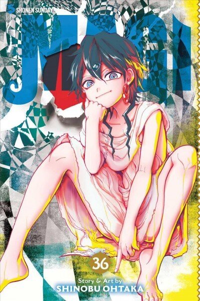 Magi: The Labyrinth of Magic, Vol. 36 hind ja info | Koomiksid | kaup24.ee