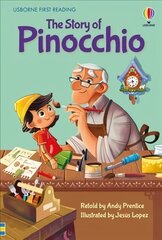 Pinocchio цена и информация | Книги для подростков и молодежи | kaup24.ee