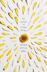 Summer of Broken Things Reprint ed. цена и информация | Книги для подростков и молодежи | kaup24.ee